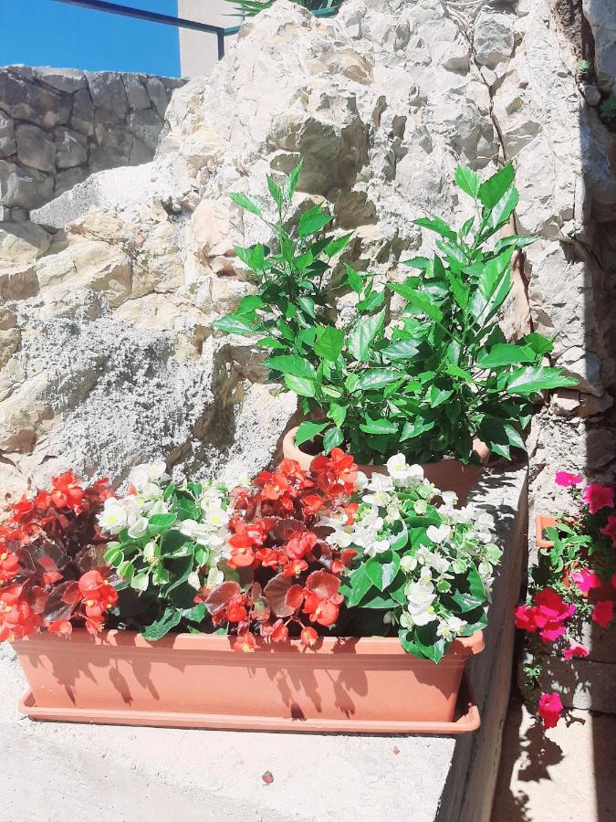 Apartments Tonkita With Jacuzzi Makarska Exterior photo